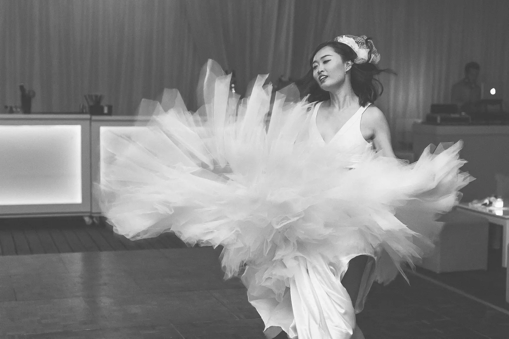 The Residence estate, Photo of a cat on the estate