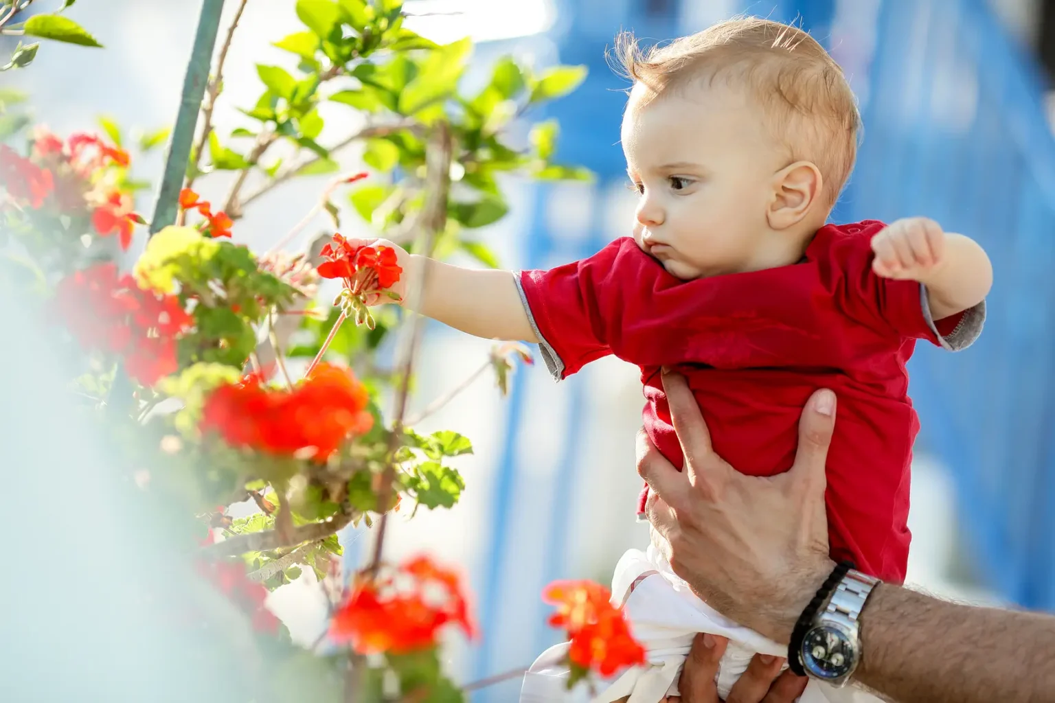 0455 βαπτιση Χρυσοπηγη Σίφνο