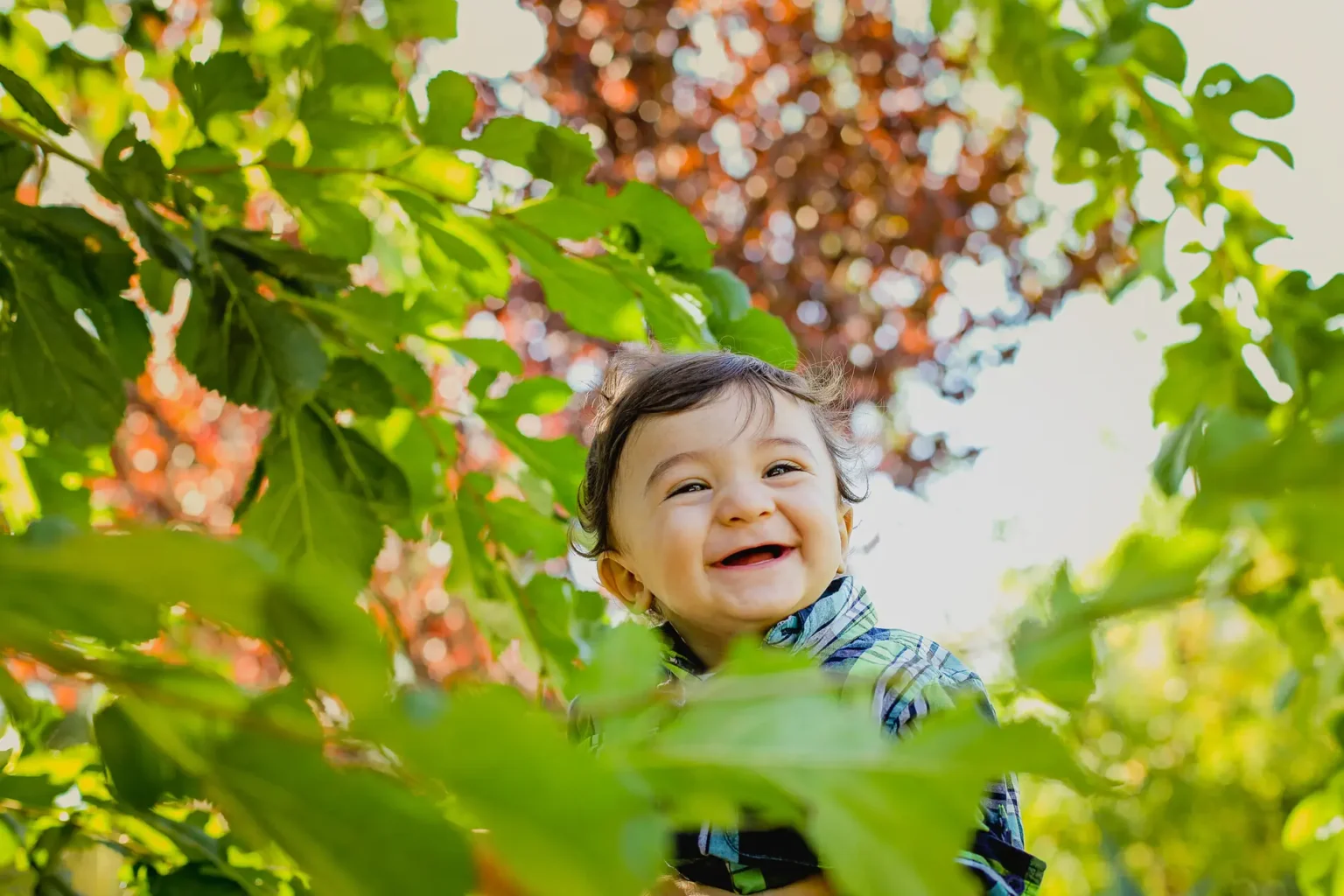 a child smiling in a tree