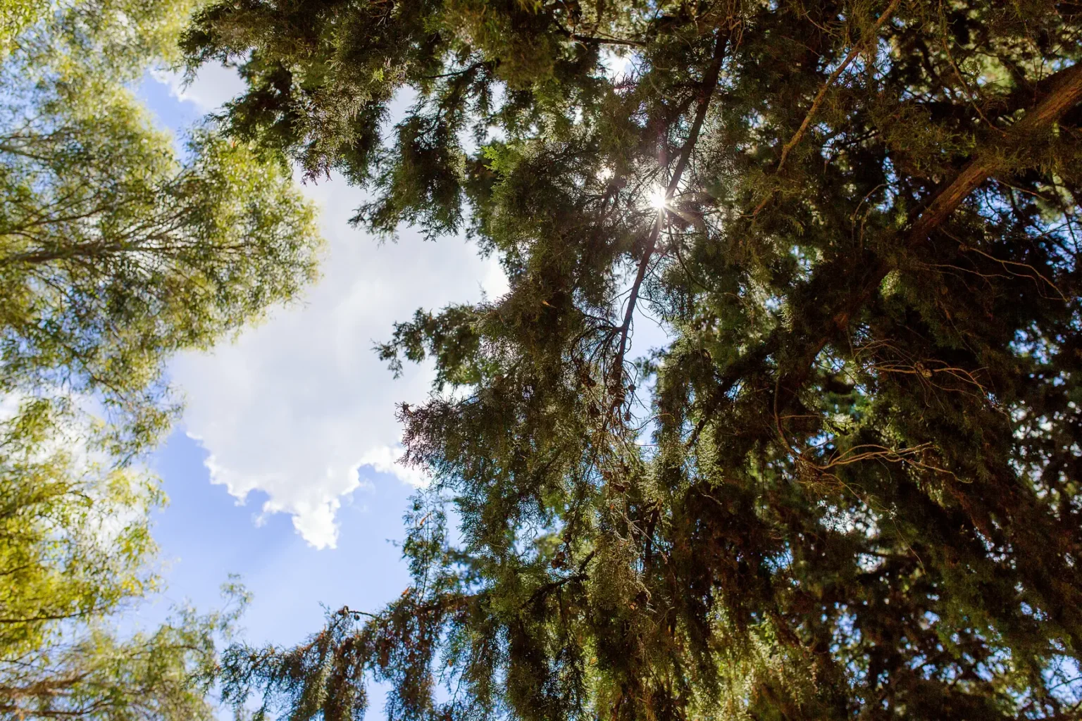 0921 φωτογραφιση βαπτιση πεντελικο - κτήμα Πεντελικο,  βάπτισης στο κτήμα Πεντελικο