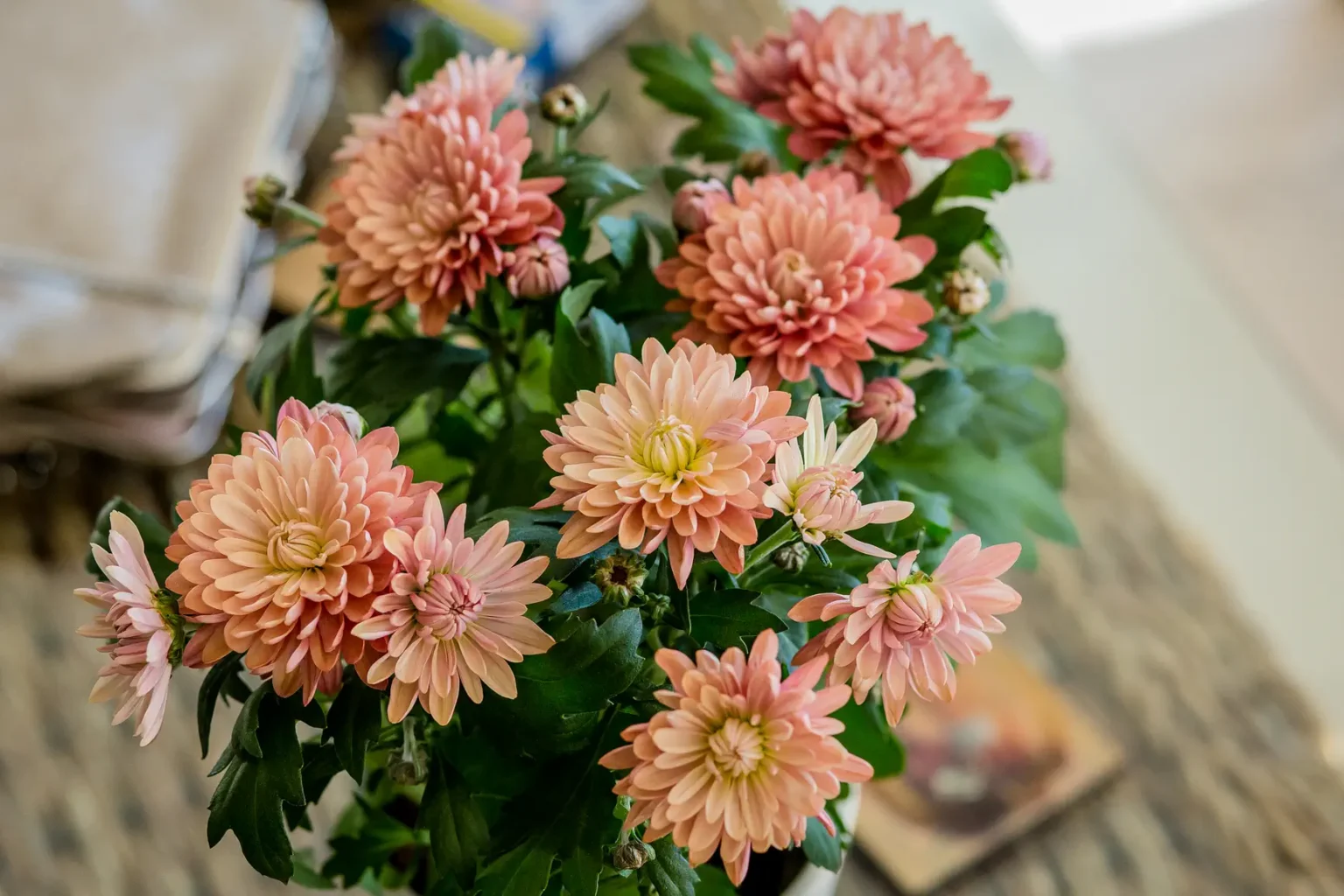 γαμου παναγίας φανερωμενης ble 0035 - Παναγίας Φανερωμενης,  Γάμος με παστέλ αποχρώσεις,  καλοκαιρινός γάμος