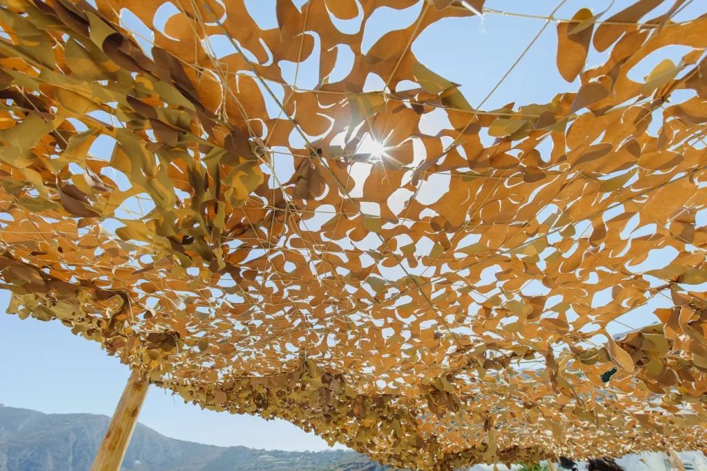 0058 φωτογραφηση γαμου σαντορινη